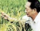 生于90年代