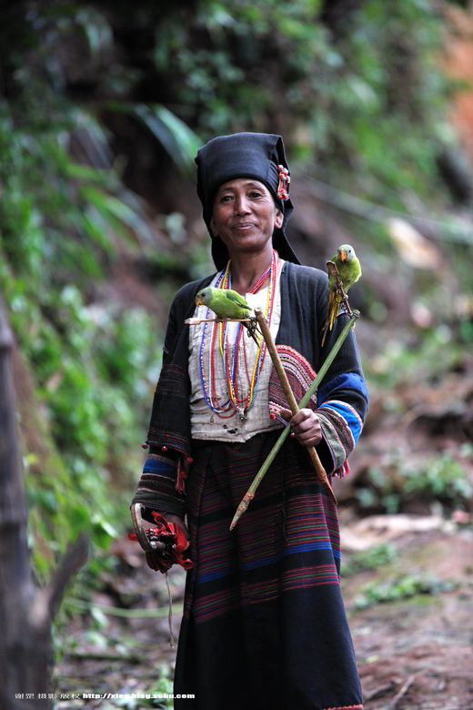 西南少数民族的迎春印象五